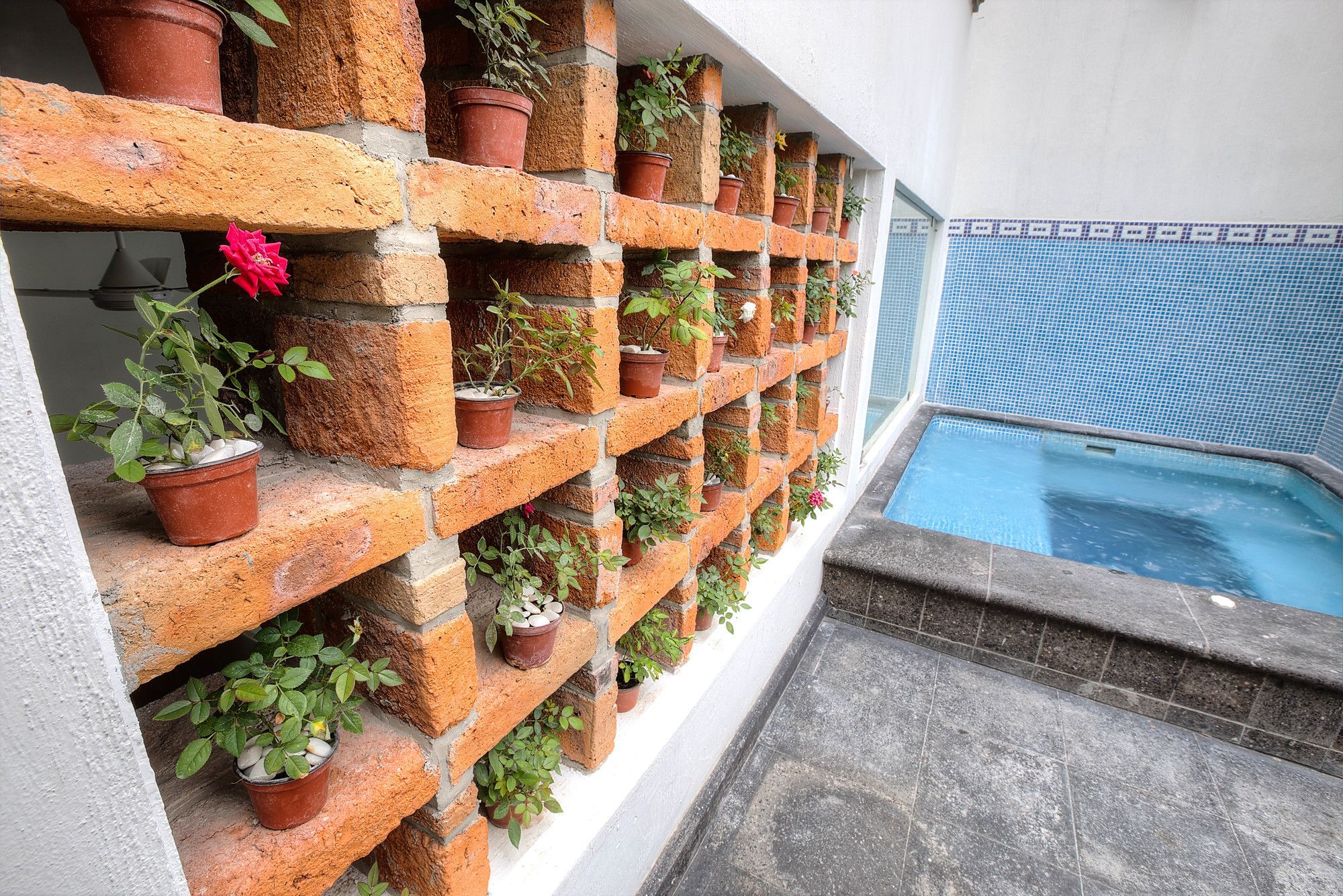 Casa Bruselas Guadalajara Exterior photo